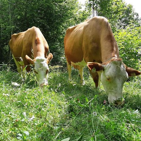 Hansenhof Prägraten Esterno foto