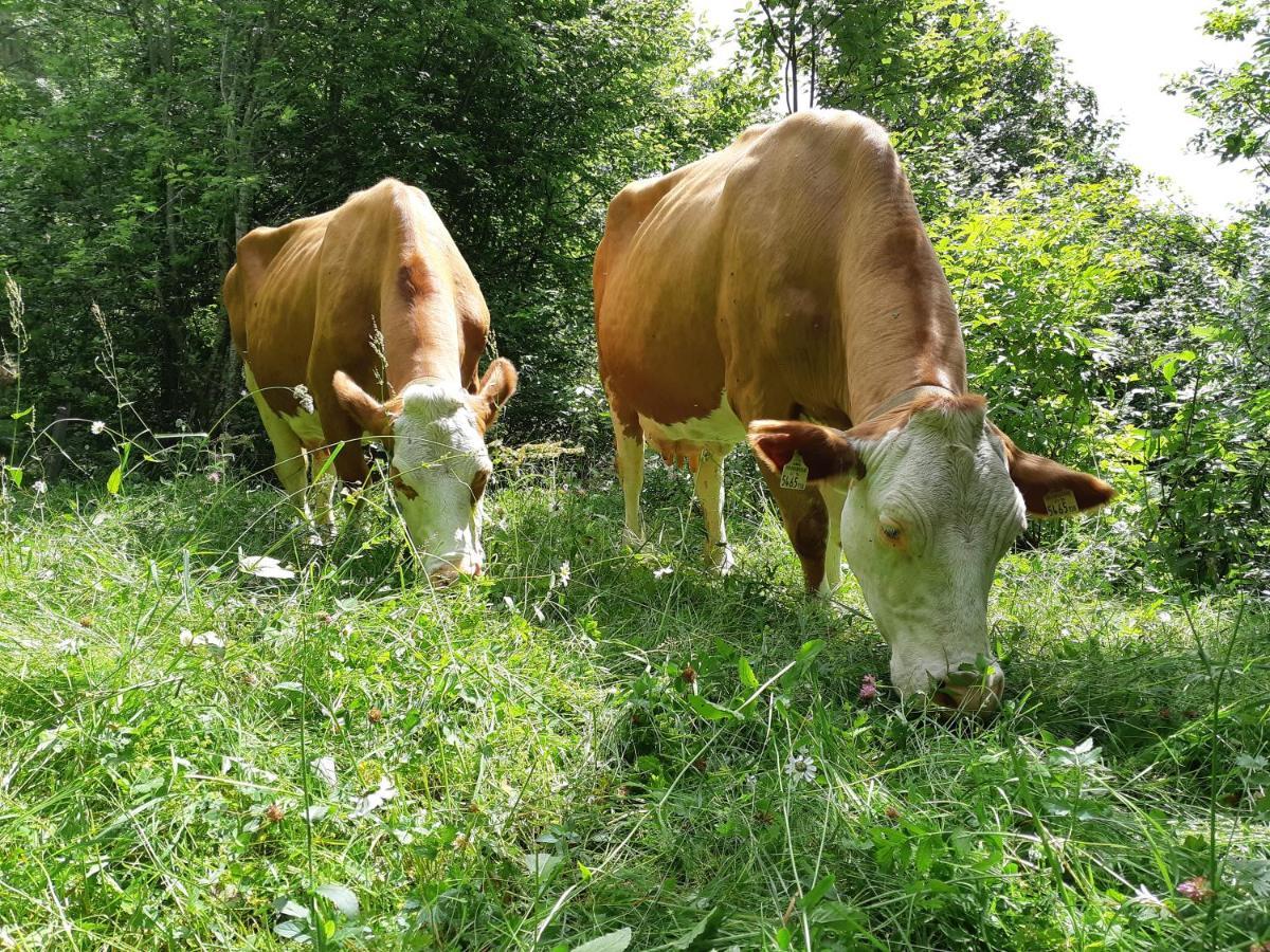 Hansenhof Prägraten Esterno foto